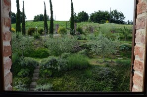 A rustic garden with stone steps leading up a hill, surrounded by various shrubs and trees.