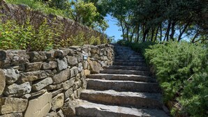 A stone staircase ascending a hill, surrounded by greenery and trees. - Antiche Pietre 10 in Tuoro sul Trasimeno (Tuoro sul Trasimeno)