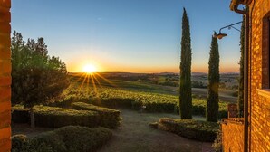 A vineyard path leading to a building with a brick facade and a street lamp. - Il Fitto 10 in Cortona (Cortona)