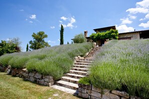 Villa | 5 Schlafzimmer, Bettwäsche
