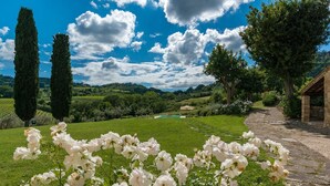 A garden with white flowers, a stone pathway, and a view of a pool and hills in the background. - Podere Pisinano 8 2 (Montepulciano)