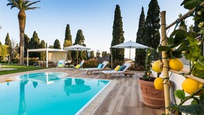 A swimming pool with lounge chairs and umbrellas, surrounded by tall trees and a pergola. - Villa Sole Al Molino A Vento 8 (Rosignano Marittimo)