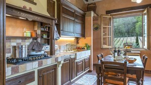Une cuisine équipée d’une cuisinière, d’un évier et de meubles de rangement en bois. Une fenêtre offre une vue sur les arbres et un vignoble.