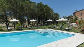A rectangular swimming pool with clear blue water, surrounded by lounge chairs and umbrellas. - Podere Bellaria 18 2 (Asciano)