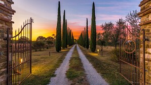 A pathway flanked by tall cypress trees leading to a rustic stone building with metal gates.