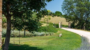Villa | 4 bedrooms - Ca Pellicciano 8 in Longiano (Longiano)