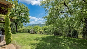 Escape to a serene natural oasis with a lush lawn and majestic trees.