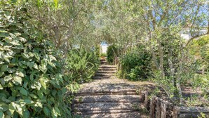 A stone pathway flanked by dense foliage and wooden railings, leading to a building in the distance. - Quercia Felice 17 in Manciano (Manciano)