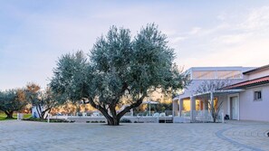 6 bedrooms - La Perla tra gli Ulivi 12 (San Vincenzo)