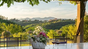 Una mesa con un cesto de flores y dos copas de vino, con vista a un viñedo y colinas distantes.