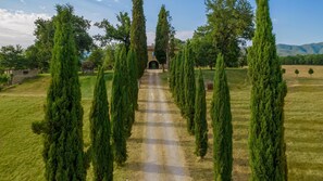 Villa | 9 bedrooms - Villa Canto Alla Moraia 18 (Castiglion Fibocchi)