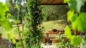 Villa | 9 bedrooms - Villa Canto Alla Moraia 18 (Castiglion Fibocchi)
