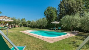 A rectangular swimming pool with a tiled deck, surrounded by a well-maintained lawn and trees. There are lounge chairs and umbrellas in the background. - Fi-f398-albe0at - Villa Sorripa 6 (Montaione)