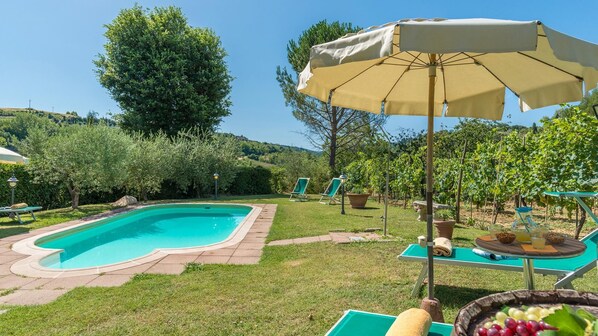 A swimming pool with a surrounding grassy area, a pergola with a canopy, and a vineyard in the background. - Fi-f398-albe0at - Villa Sorripa 6 (Montaione)