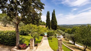 Un sentier de pierres serpente à travers un jardin luxuriant, où poussent différentes espèces d’arbres et d’arbustes, le tout étant entouré d’un paysage vallonné.