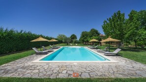 A rectangular swimming pool with a stone deck, surrounded by lounge chairs and thatched umbrellas, set in a landscaped garden with trees and a clear sky. - Pg-g601-voan6at - Villa Augusto 10 (Piegaro)
