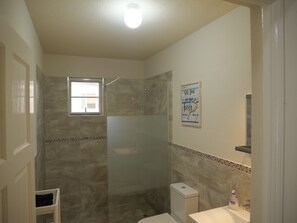 Shower, towels, toilet paper