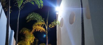 Wild Flower Boutique Apartments 🌸
