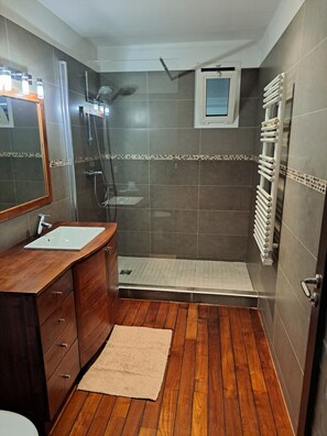 Shower, towels, toilet paper - Large studio with mezzanine and 2 beds (Carros)