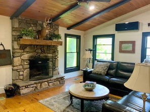 Smart TV, fireplace, DVD player, books