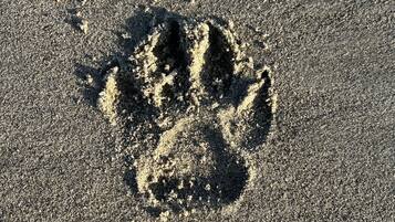 Detalhe da parte interna