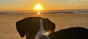 T3 duplex hyper center fort mahon 700 meters from the beach close to all shops.