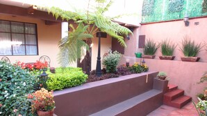 A courtyard with a stone staircase, potted plants, and a variety of flowers. - House of Stairs, Pátzcuaro, Michoacán (Pátzcuaro)