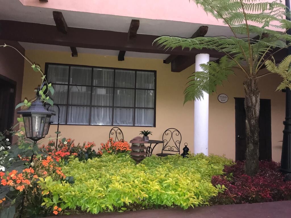 A building with a yellow facade, a large window, a white column, and a garden with various plants and flowers.