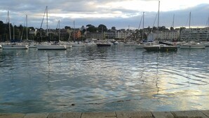 A marina with multiple boats docked.