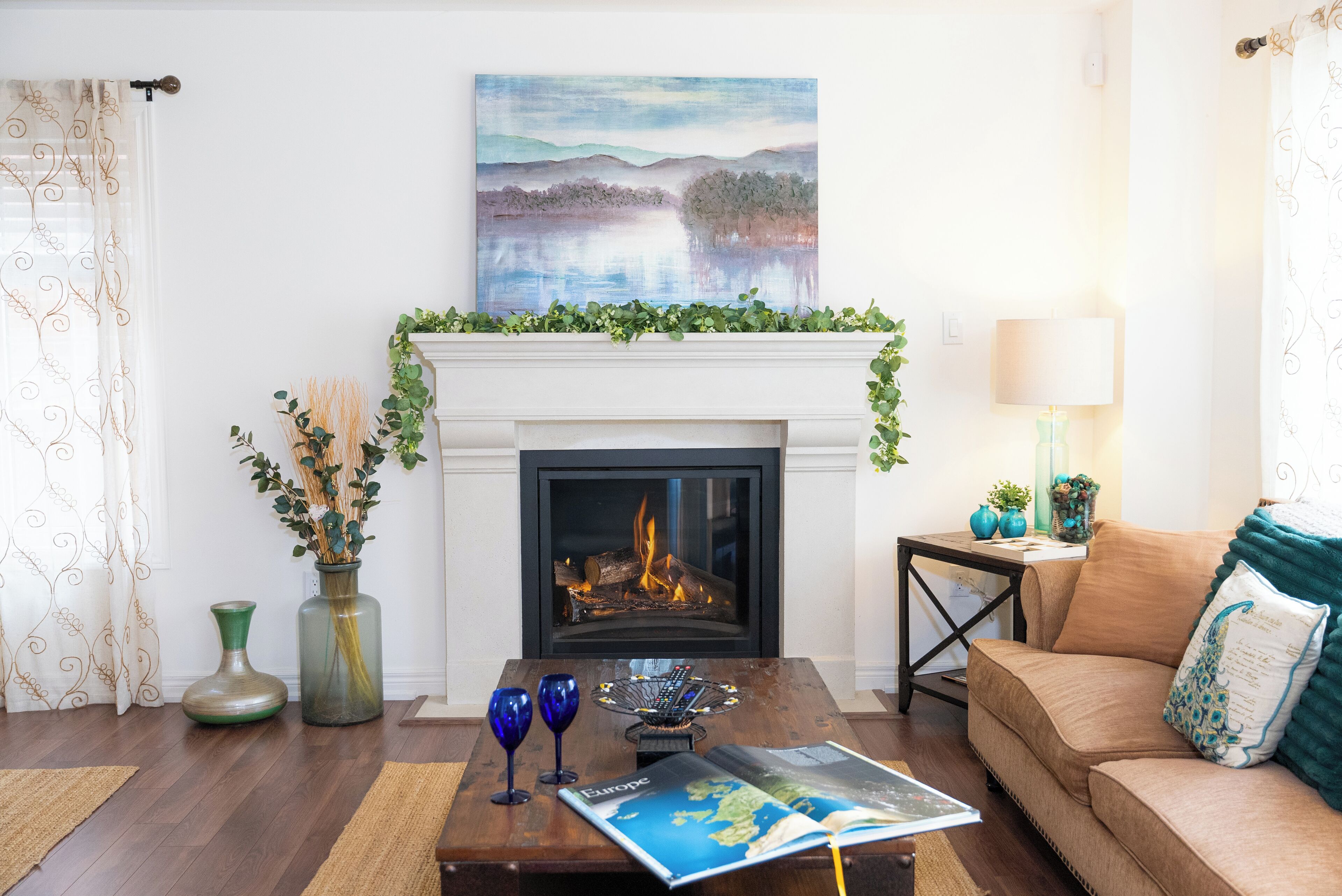 Smart TV, fireplace, books, music library