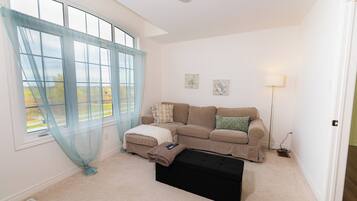 TV connectée, cheminée, livres, médiathÚque