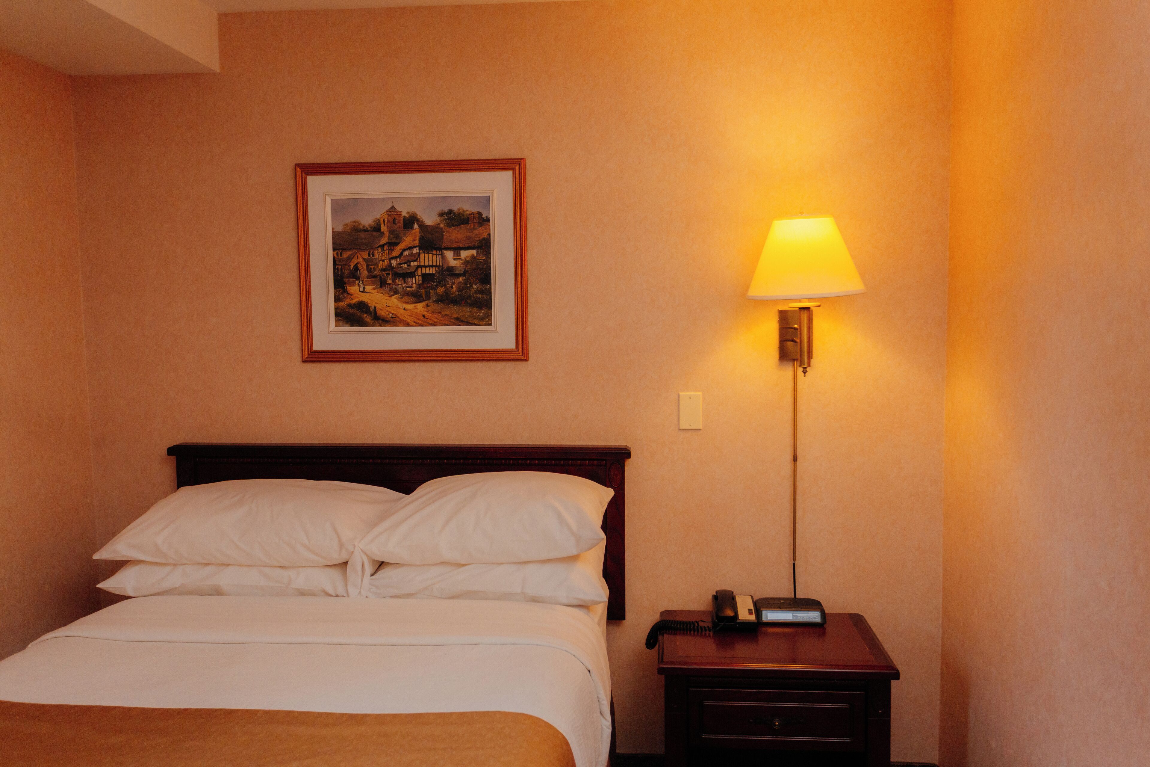 A hotel room with a bed, a nightstand, a lamp, and a framed picture on the wall.