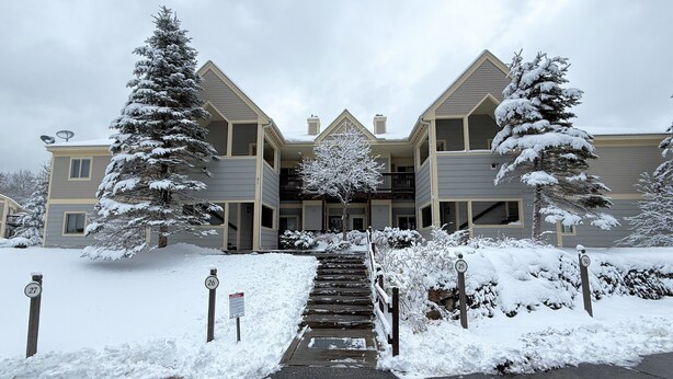 A multi-story building with a symmetrical facade, a central staircase, and snow-covered trees.