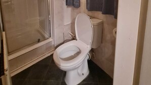 Dusche, Regendusche, kostenlose Toilettenartikel, Haartrockner