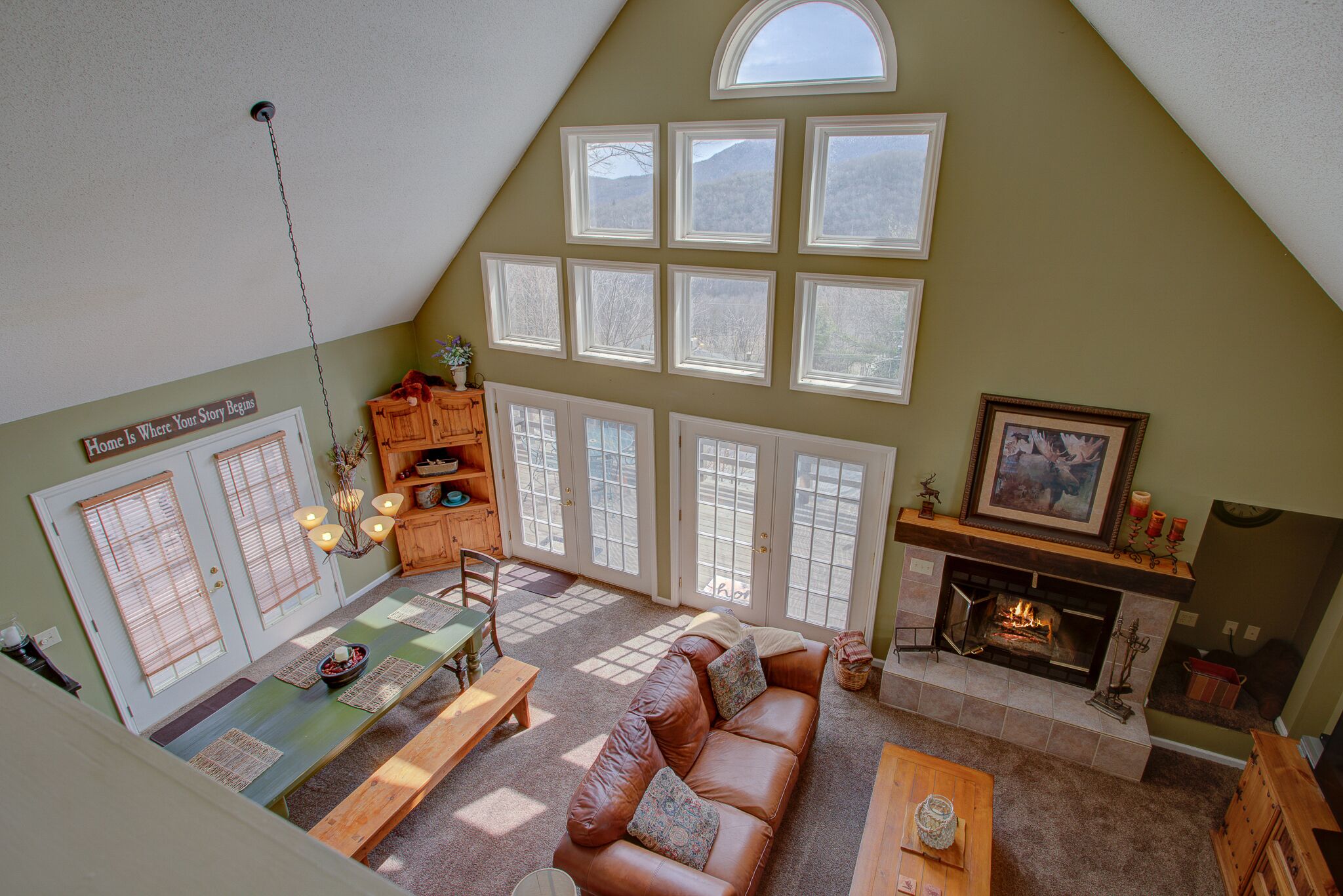 TV, fireplace, video games, books