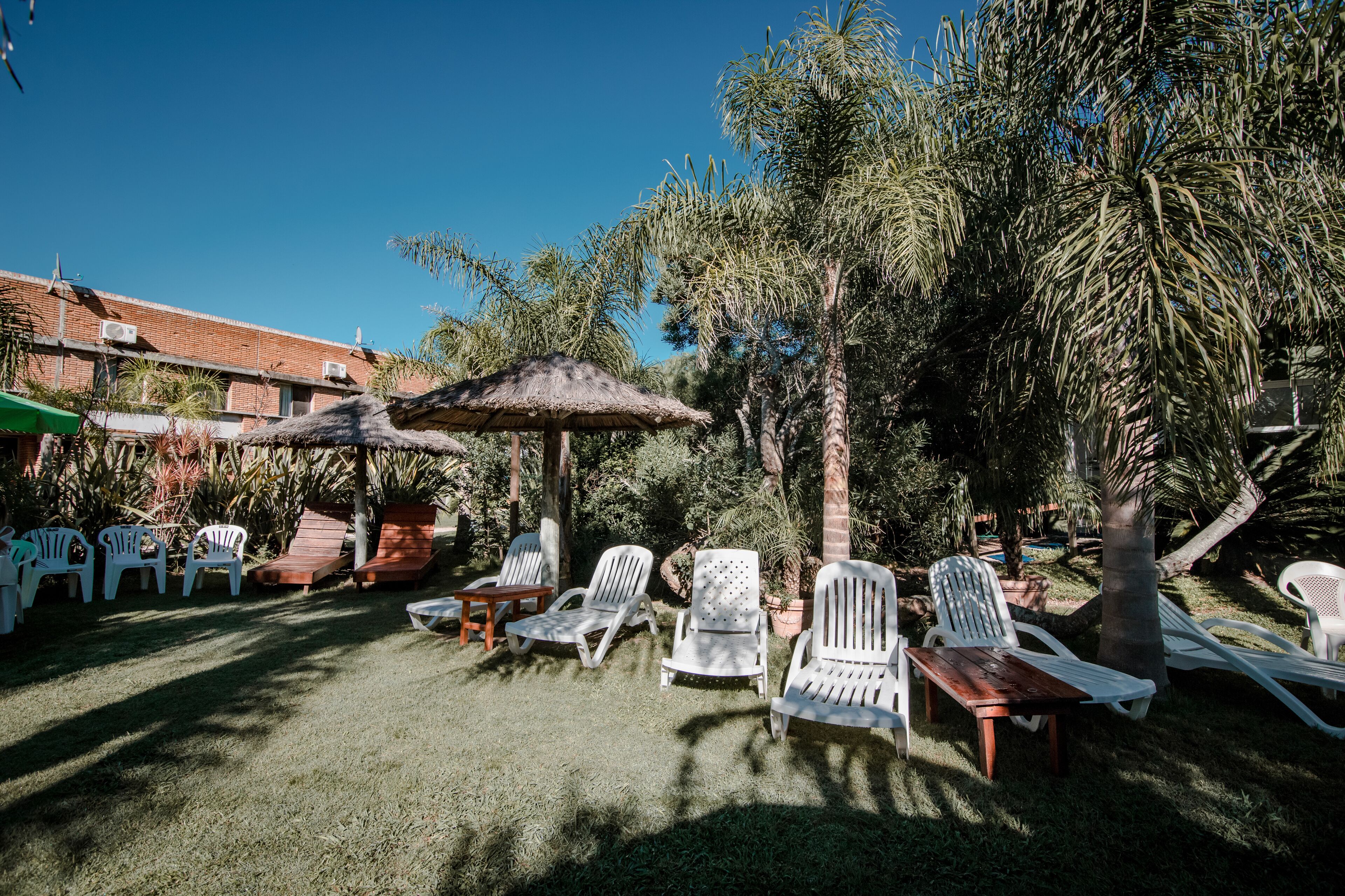 An outdoor seating area with white plastic chairs and a wooden table, surrounded by palm trees and a thatched umbrella.