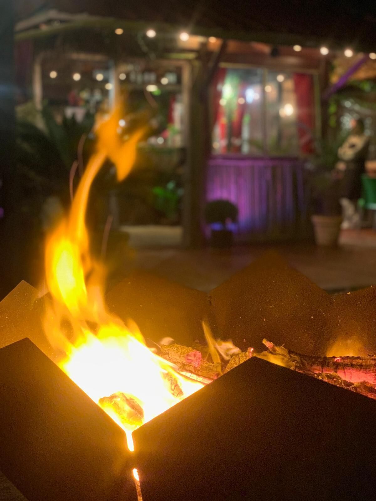 A fire burning in a metal container, with a blurred background featuring a building with lights and plants.