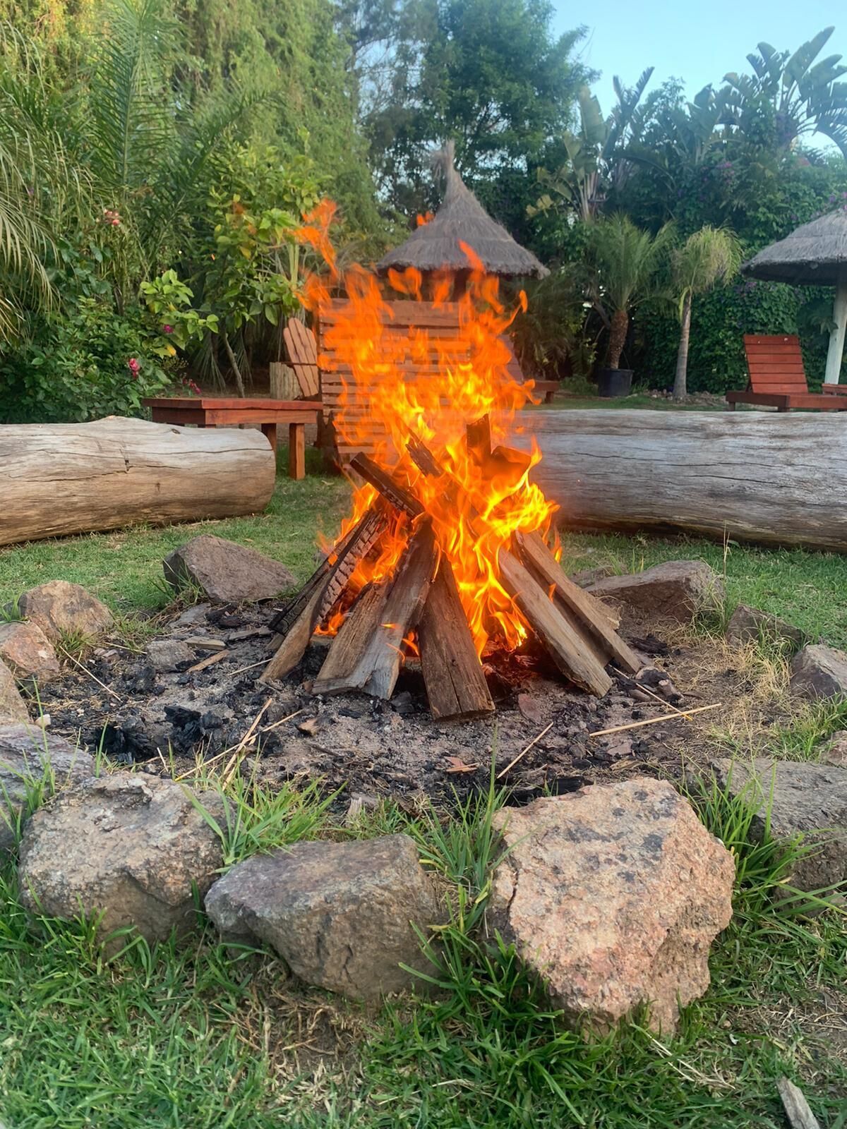 Ein Lagerfeuer mit Baumstämmen und Steinen, eingebettet in eine grüne Wiese mit Bäumen und einer hölzernen Bank im Hintergrund.