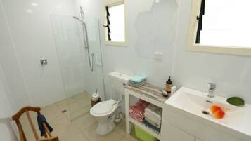 Shower, hair dryer, towels, soap