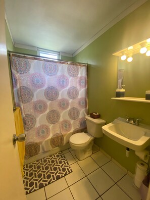Shower, hair dryer