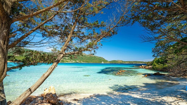 Un paysage côtier caractérisé par une eau turquoise cristalline, des rivages rocheux et une végétation dense de pins.