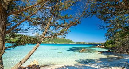 7Pines Resort Sardinia-A Destination By Hyatt