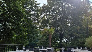 An outdoor dining area with tables and chairs, surrounded by trees. - Ô Château (Hayange)