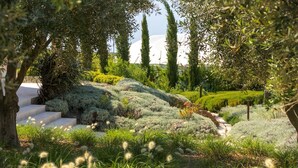Een aangelegde tuin met verschillende struiken en bomen, een pad van stenen en een uitzicht op een gebouw op de achtergrond.