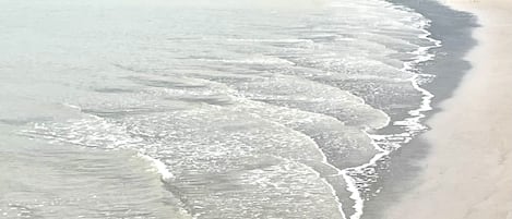 شاطئ