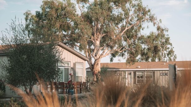 A house with a large tree in front, a patio with chairs, and a small shed.