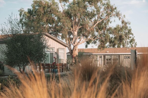 Exterior - Ranch House View #1 - 4 bedroom, 4 bath home on-site of Galway Downs (Temecula)