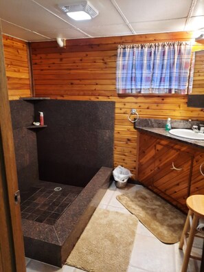 Shower, towels, toilet paper
