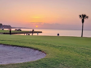 A golf course with a water body in the background, a palm tree, and people playing golf.