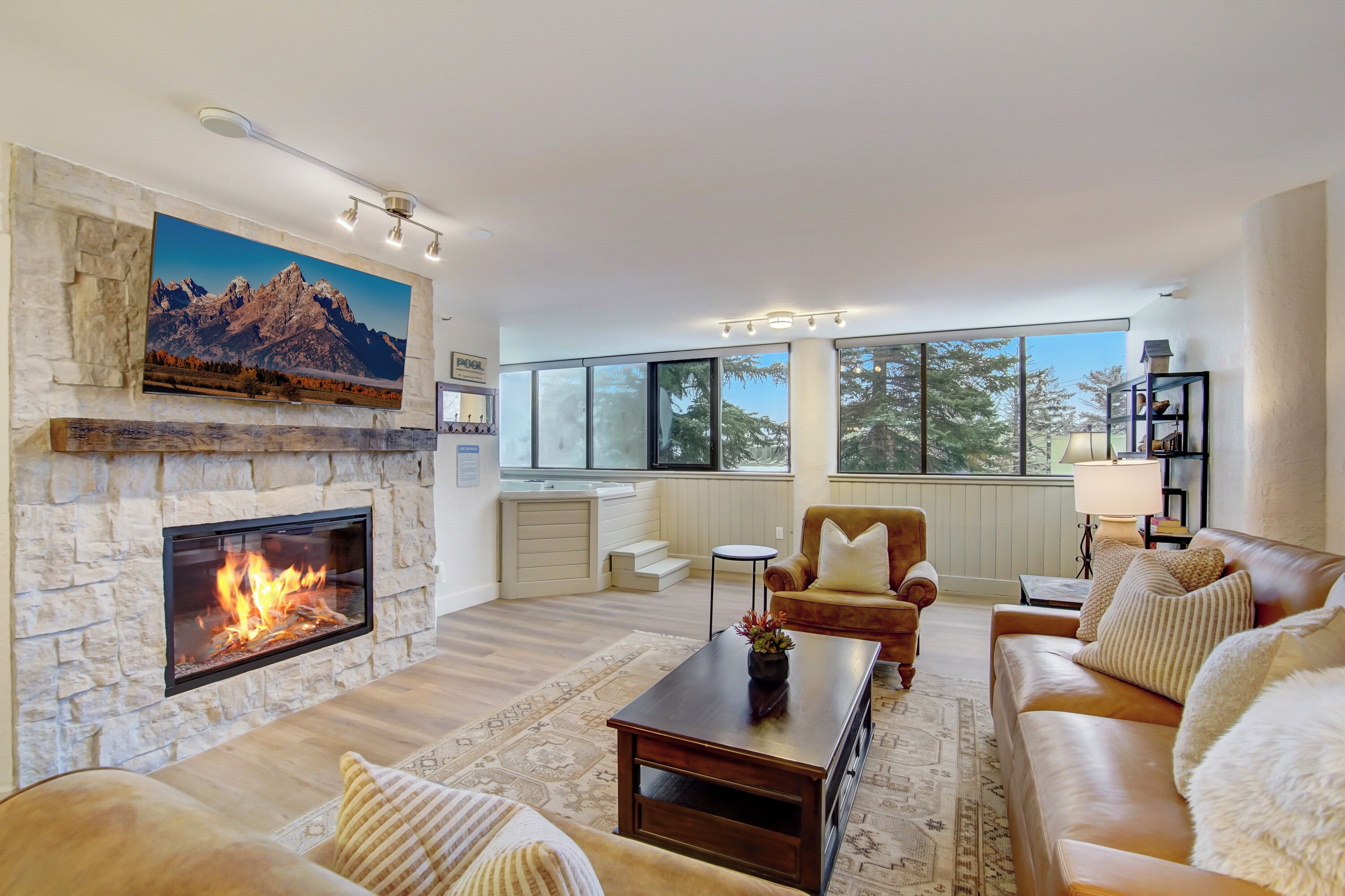 Living Room with Sleeper Sofa